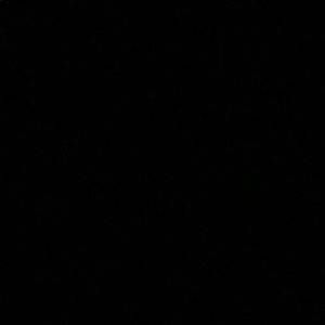 Meet your Posher, Jaison